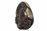 Septarian Dragon Egg Geode - Sparkly Black Crystals #383842-1